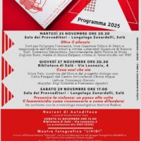giovedì 27 novembre 2025 alle ore 20.30 Presentazione del libro “Cosa vuoi che sia” alla biblioteca di Salò